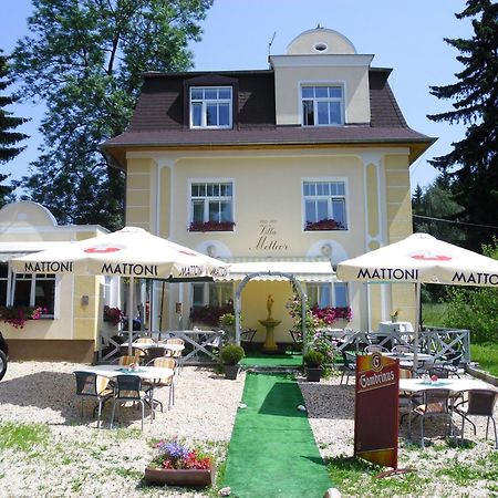 Villa Meteor Mariánské Lázně المظهر الخارجي الصورة