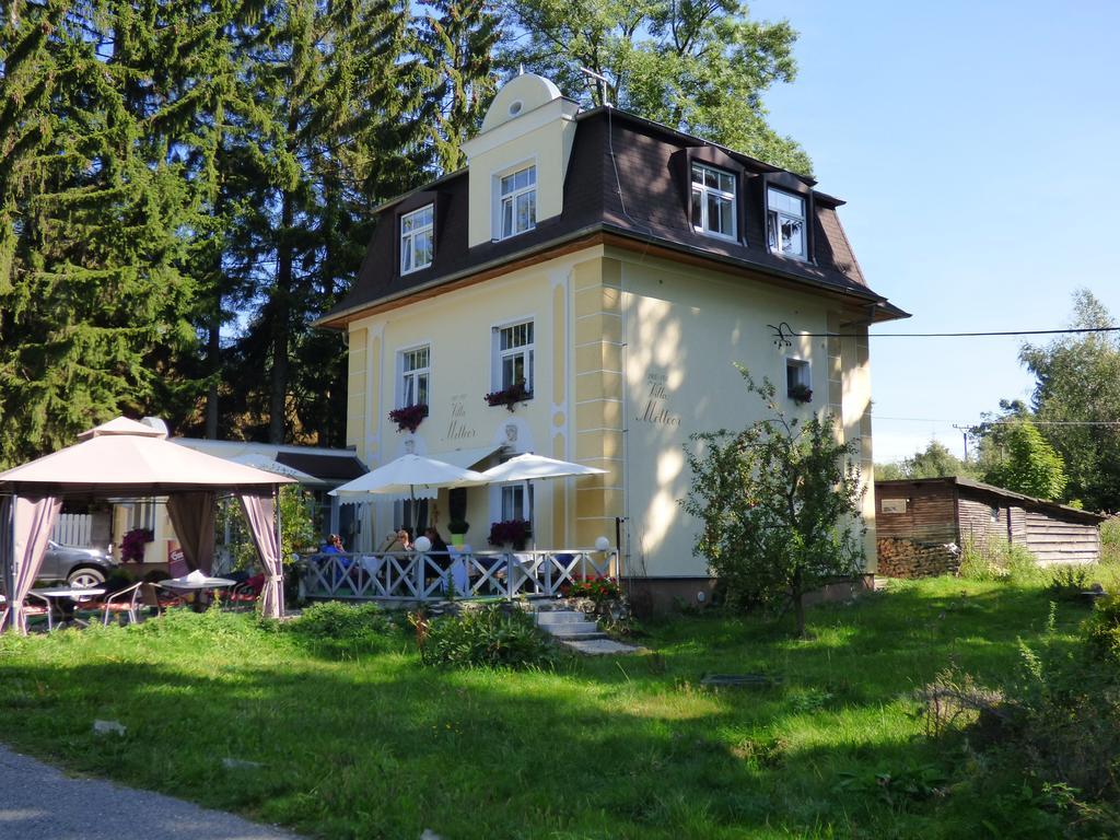 Villa Meteor Mariánské Lázně المظهر الخارجي الصورة